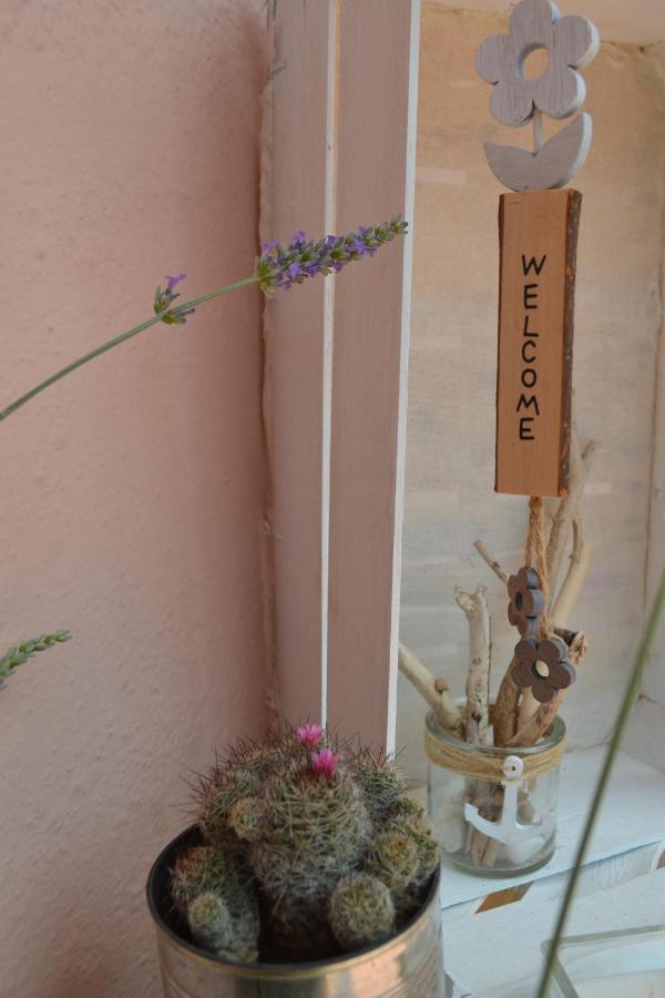 Into The Wild Green B&B Alghero Buitenkant foto