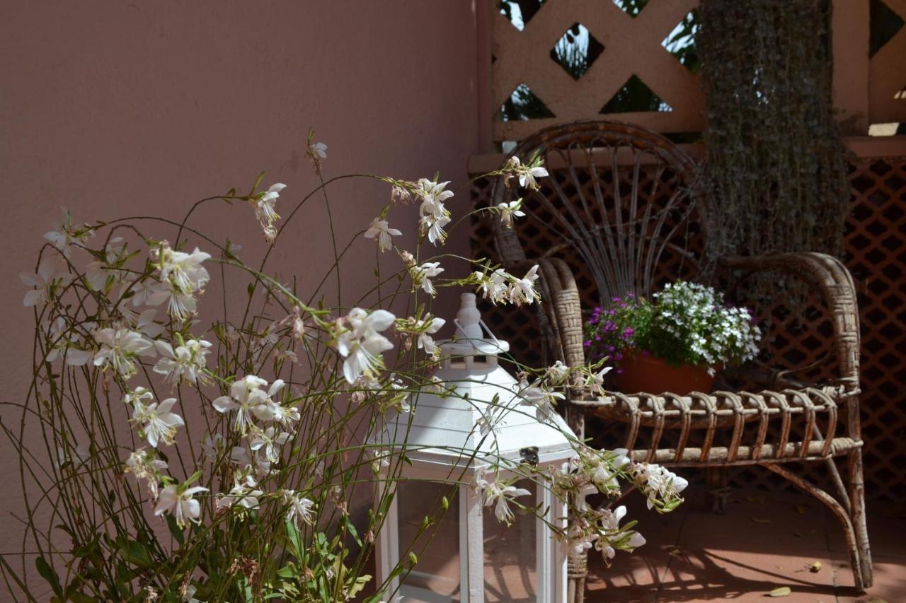 Into The Wild Green B&B Alghero Buitenkant foto