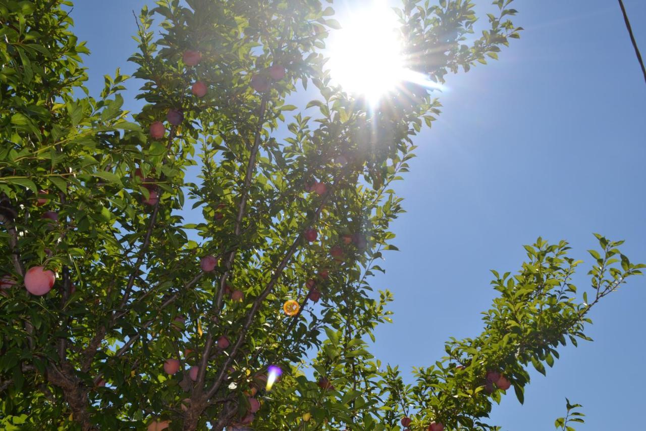 Into The Wild Green B&B Alghero Buitenkant foto